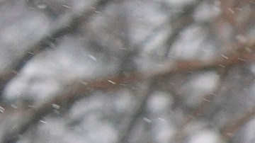 Según NWS, la ciudad de Nueva York tiene un 14% de probabilidad de ver 6 pulgadas o más de nieve si la tormenta avanza al sur.