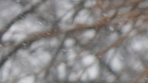 Según NWS, la ciudad de Nueva York tiene un 14% de probabilidad de ver 6 pulgadas o más de nieve si la tormenta avanza al sur.