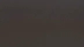 AP24024546591103_483225