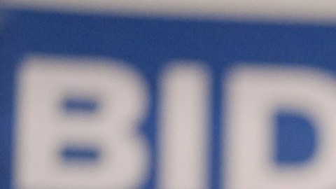 Joe Biden ganó las primarias demócratas en Carolina del Sur: proyecciones