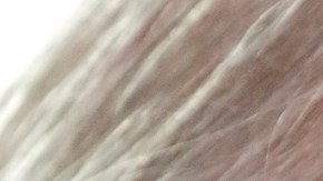 Joe Biden intenta convencer al voto hispano en Nevada tras ganar la primaria en Carolina del Sur