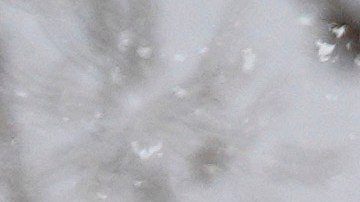 Tormenta de nieve