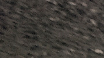 Apartaron de su cargo a alto oficial de la Patrulla Fronteriza de EE.UU por presunta mala conducta