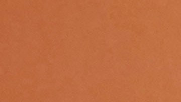 Timothée Chalamet afirmó ser un gran seguidor del fútbol mexicano.