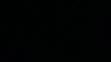 Serie del Caribe 2024: Venezuela blanqueó a República Dominicana para conquistar el título