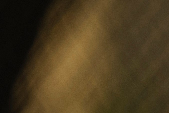 Shohei Ohtani montó un show en su primera práctica de bateo con Dodgers [Video]