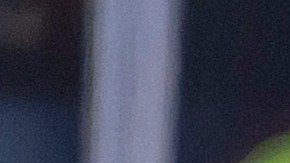 La jefa de la Policía también reportó que hay entre 10 y 15 heridos.