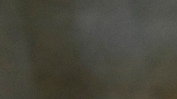 Shohei Ohtani (L) y Teóscar Hernández (R) han podido compartir de cerca en Los Angeles Dodgers.