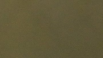 Shohei Ohtani se perderá el inicio del Spring Training.