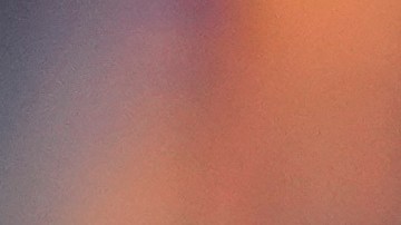 El pelotero dominicano confía en poder triunfar esta temporada en las Grandes Ligas.