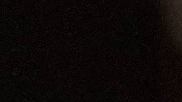 Pete Alonso donará mil dólares para refugios animales por cada jonrón que conecté con New York Mets