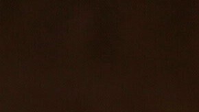 El proyecto del príncipe William necesitará $4 millones de dólares en esta primera etapa.