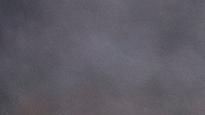 Biden confirmó la noticia a periodistas antes de salir a un acto de campaña.