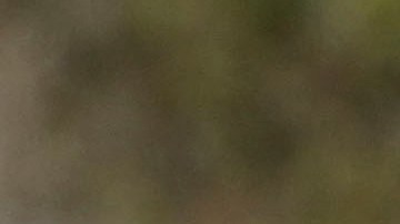 Gleyber Torres fue uno de los primeros en presentarse en los campos de entrenamiento de New York Yankees.