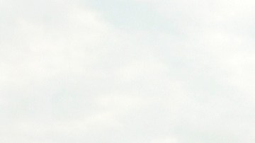 Laken Riley: 7 claves del asesinato de una estudiante en campus de la Universidad de Georgia