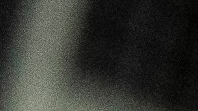 Nikki Haley apenas congregó a mil simpatizantes en Carolina del Sur a horas de las primarias