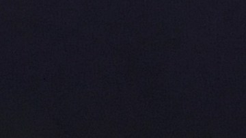 Gobierno de Joe Biden evita hablar sobre posible reunión entre Javier Milei y Donald Trump en EE.UU.