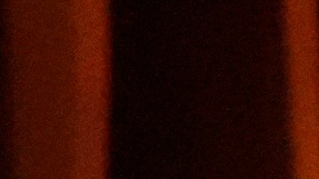 Pedro Pascal posando.