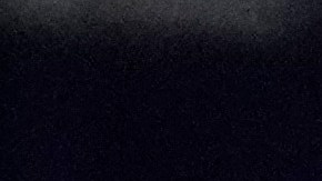 Haley pidió el apoyo económico de sus seguidores poco después de haber perdido la elección en Carolina del Sur.