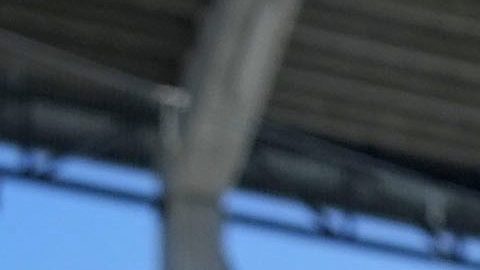 Aaron Judge toma práctica de bateo durante el Spring Training 2024.