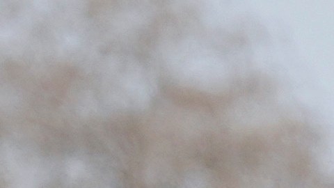 Trump estuvo acompañado del gobernador de Texas, el también republicano Greg Abbott.
