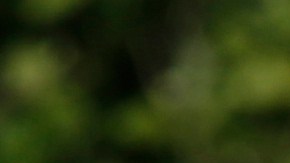 Lionel Messi en la concentración con la selección argentina.