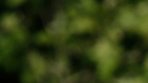 Lionel Messi en la concentración con la selección argentina.