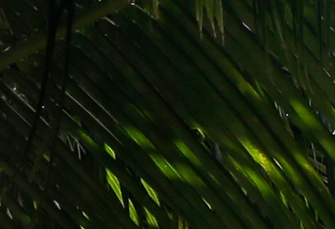 La casa donde vivió Al Capone fue demolida el año pasado.