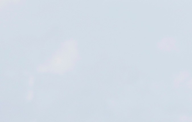 Chiquinquirá Delgado