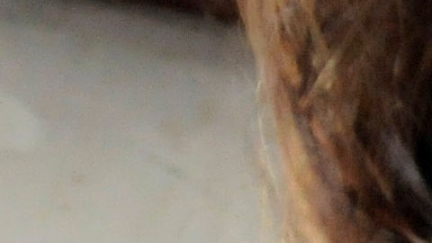 Alerta mundial por sarampión.