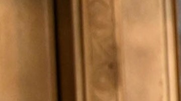 Adamari López, presentadora de televisión.