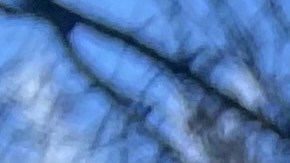 El costo de la vivienda es la mayor preocupación en Nueva York.