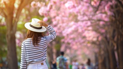 Primavera