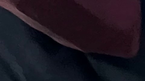 Aunque en NYC hay lugares de estética que operan según la ley, con licencias del Estado, hay sitios clandestinos que funcionan en casas con personal no capacitado