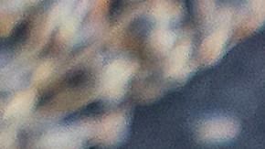 Día de San Valentín