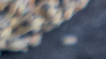 Día de San Valentín