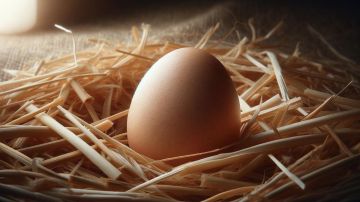 El huevo data de la época romana.