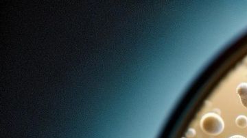 Bacteria Peste Yersinia pestis