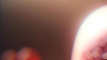 El precio del chocolate subiría este Día de San Valentín.