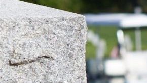 Príncipe Harry asistiendo a un cementerio.