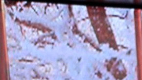 Francisca, presentadora de televisión.