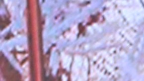 Francisca, presentadora de televisión.