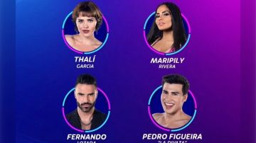 Ellos entrarán hoy al cuarto de eliminación: Thalí García, Maripily Rivera, Fernando Lozada y La Divaza.