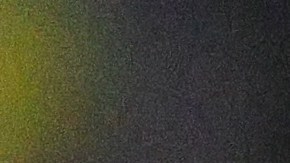 El entrenador de los Tigres de la UANL pidió disculpas por la patada que le propinó a Ditta.