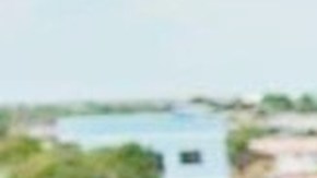 Jesse Wiseman medellin