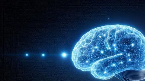 La IA tiene pruebas de las diferencias entre los cerebros de hombres y mujeres.