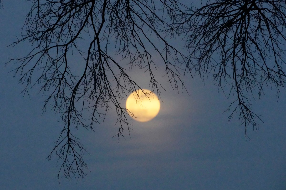 Luna de nieve Cuándo será la luna llena de febrero de 2024 El Diario NY