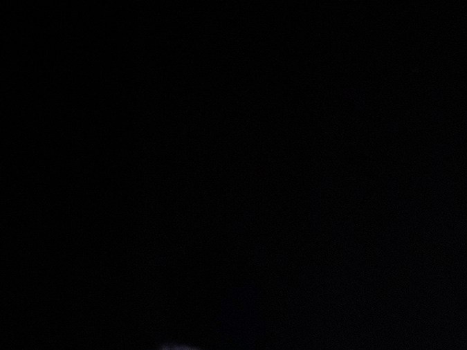 La coreógrafa Paula Comitre mostrará su talento bailando flamenco.