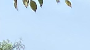 En Nueva York las mujeres enfrentan grandes riesgos en la calle al realizar esta actividad.