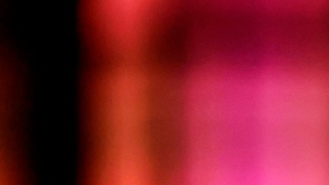 Rey Carlos III: ¿quiénes podrían ocupar sus funciones?